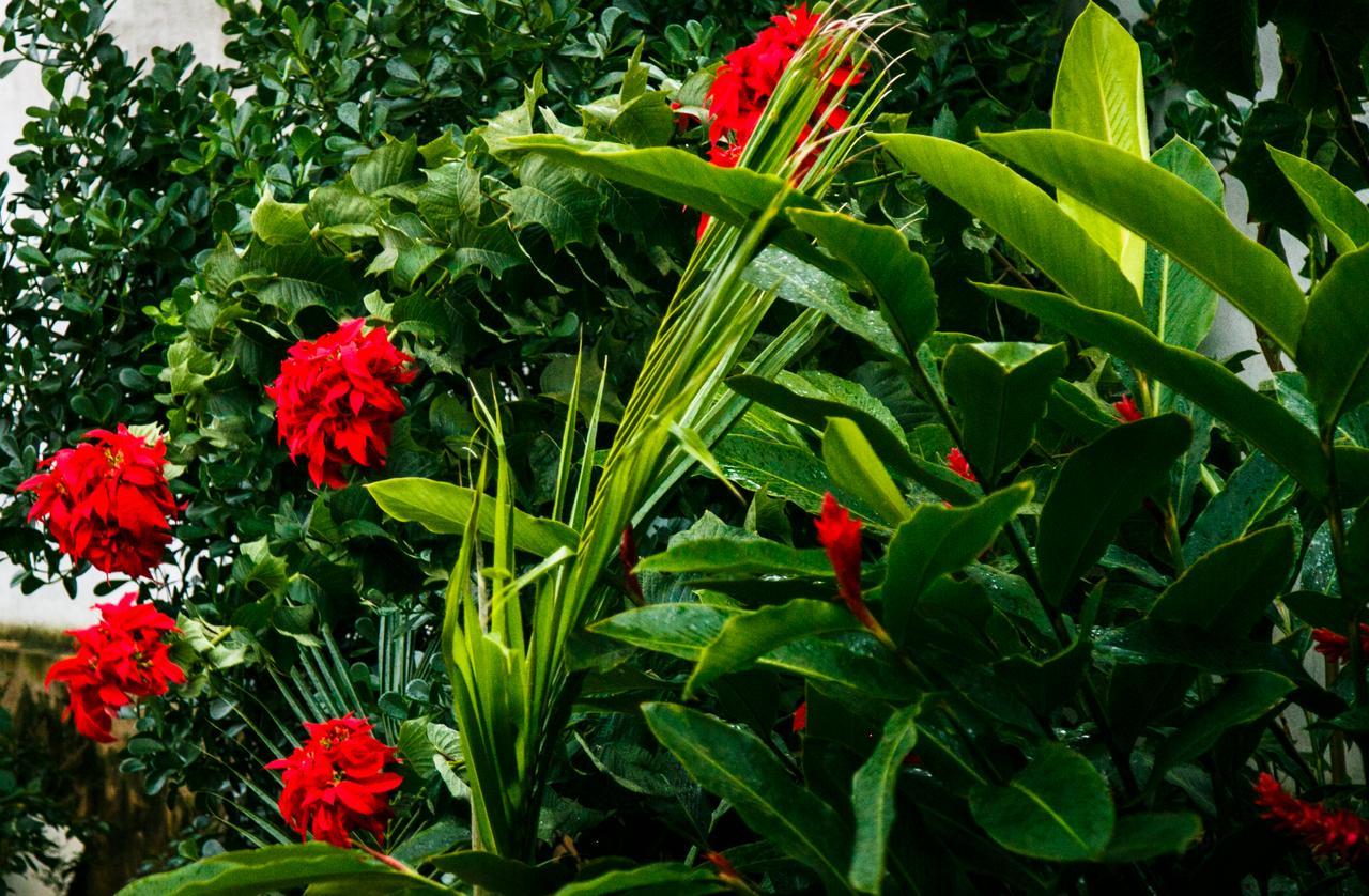 Pousada Raio de Sol Sao Joao Batista do Gloria Exterior foto